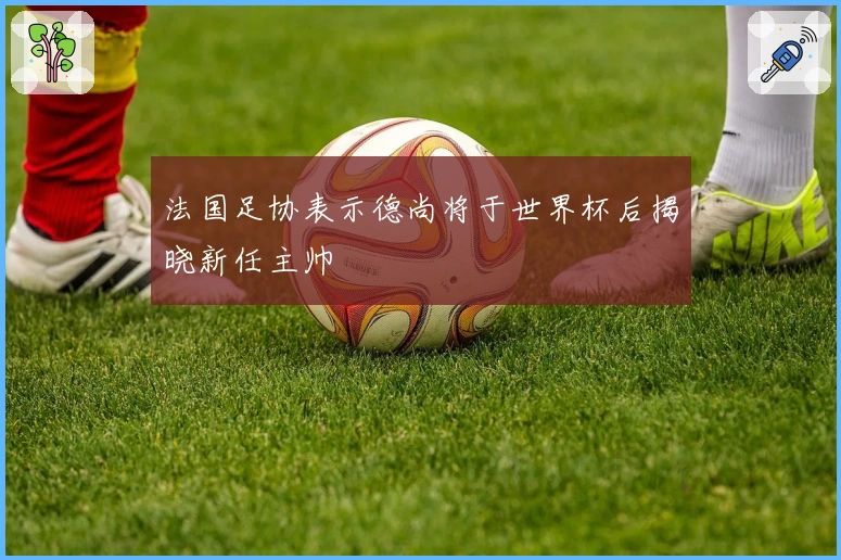 法国足协表示德尚将于世界杯后揭晓新任主帅