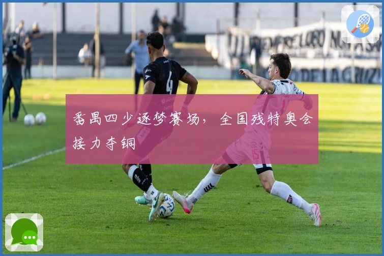 番禺四少逐梦赛场,全国残特奥会接力夺铜